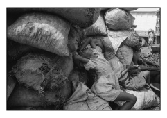 © Archivio Saglietti - Port-au-Prince, Haiti, 1993
Charline, una bambina di 13 anni al lavoro al mercato del carbone dalle 5 del mattino