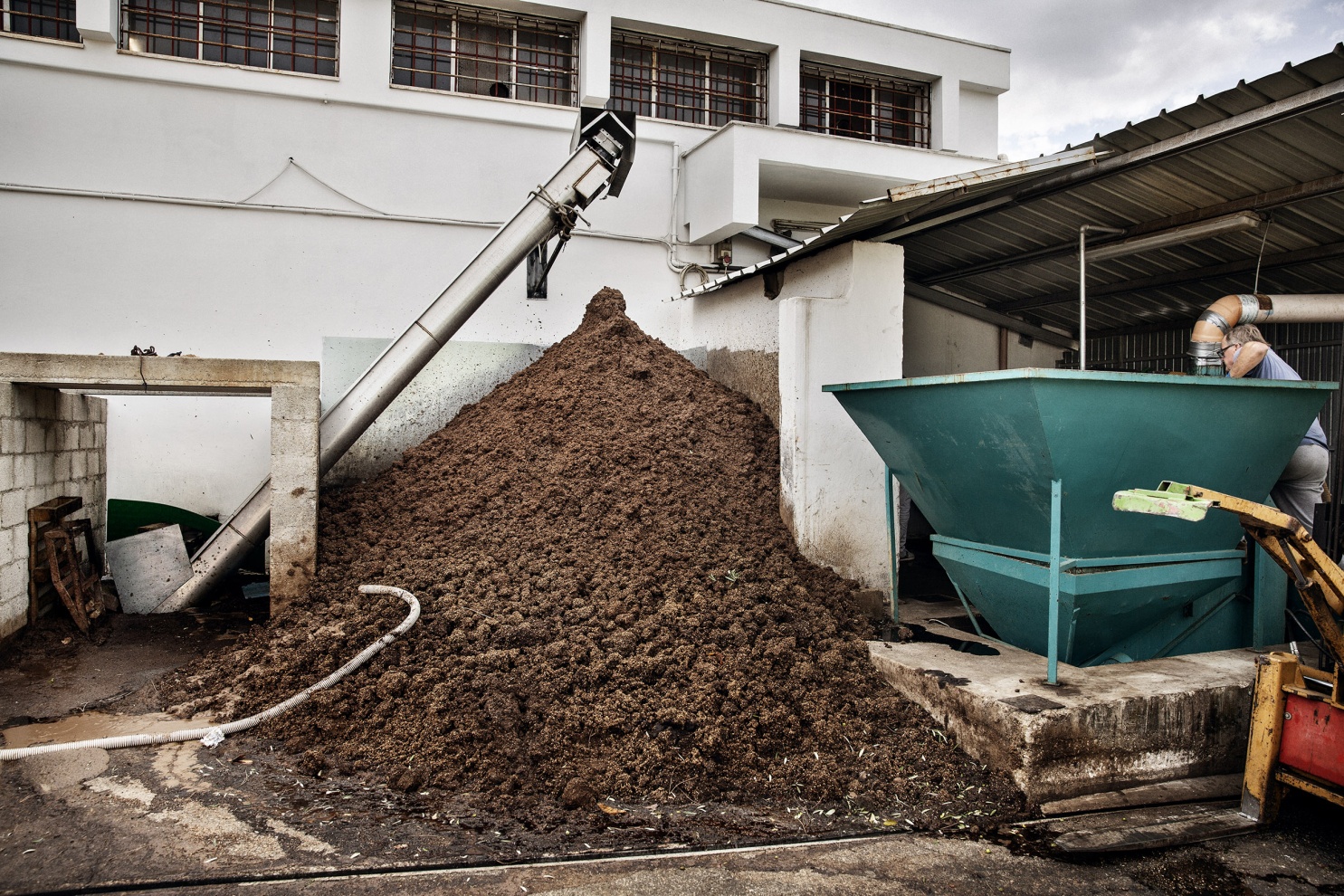 La sansa &egrave; un sottoprodotto del processo di estrazione dell�olio di oliva composto dalle bucce, noccioli e frammenti delle olive stesse. Pomace is a by-product of the olive oil extraction process made up of the skins, pits and fragments of the olives themselves.