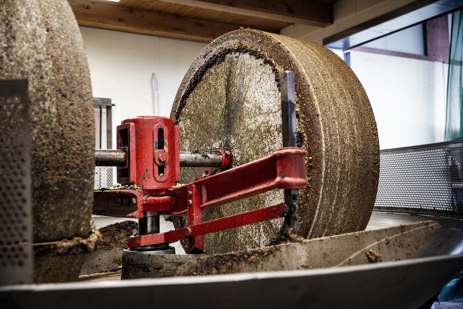 I fiscoli sono recipienti filtranti in cui vengono poste le olive macinate per sottoporle alla torchiatura. Fiscoli are filtering containers in which the ground olives are placed to subject them to pressing.
