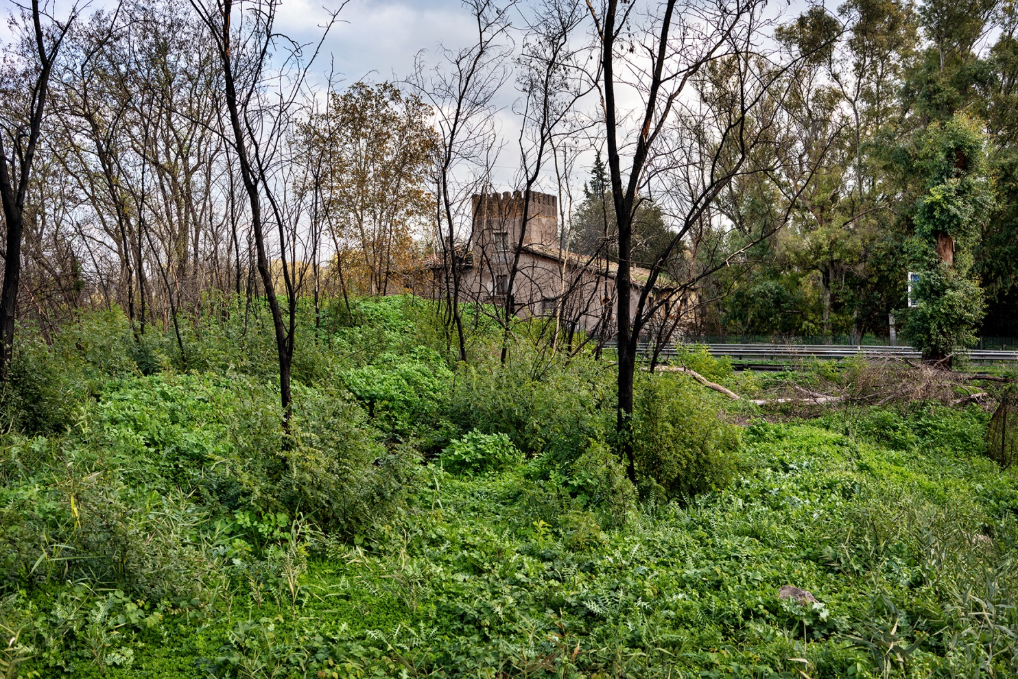 Tor di Valle