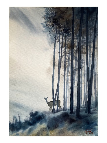 The deer' shadow - watercolour on paper - 40x30 cm 